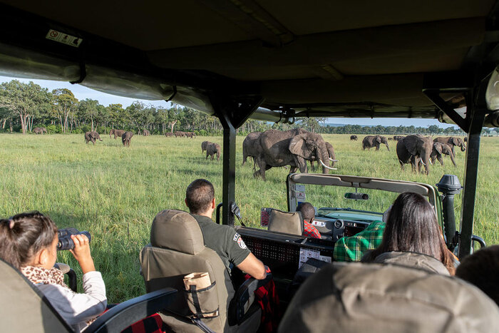 Cedarberg Travel | Governors' Camp