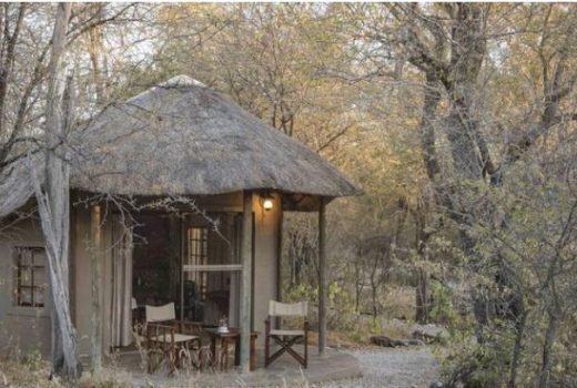 Onguma Forest Camp