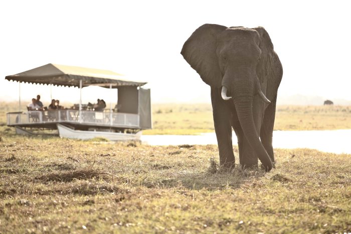 Cedarberg Travel | Fly Around Botswana Safari Offer
