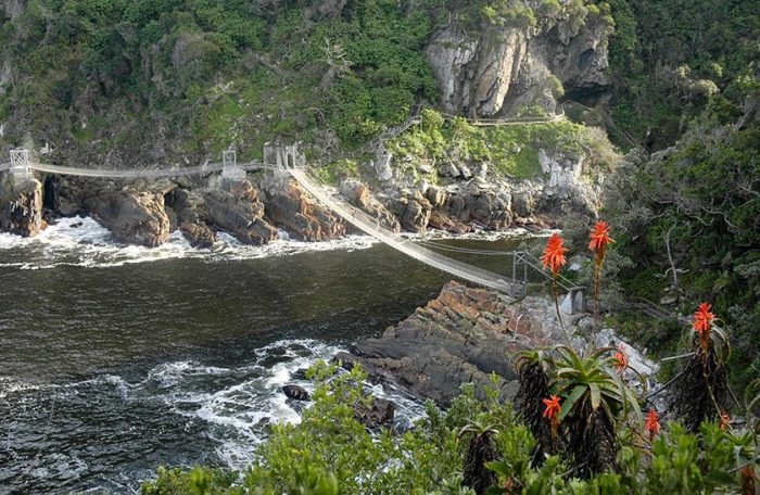 Cedarberg Travel | Dolphin Trail