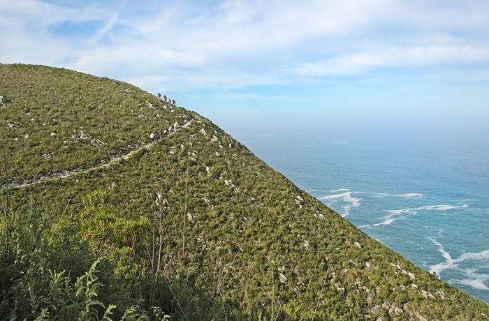 Cedarberg Travel | Dolphin Trail