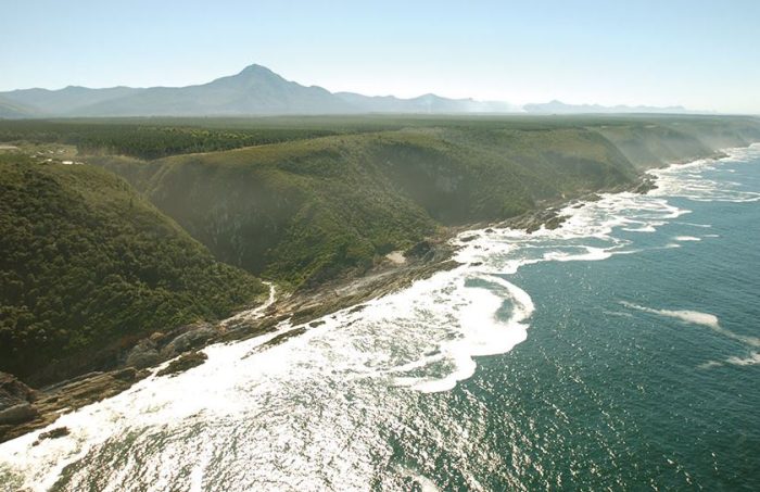 Cedarberg Travel | Dolphin Trail