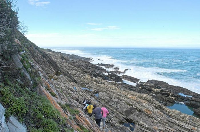 Cedarberg Travel | Dolphin Trail