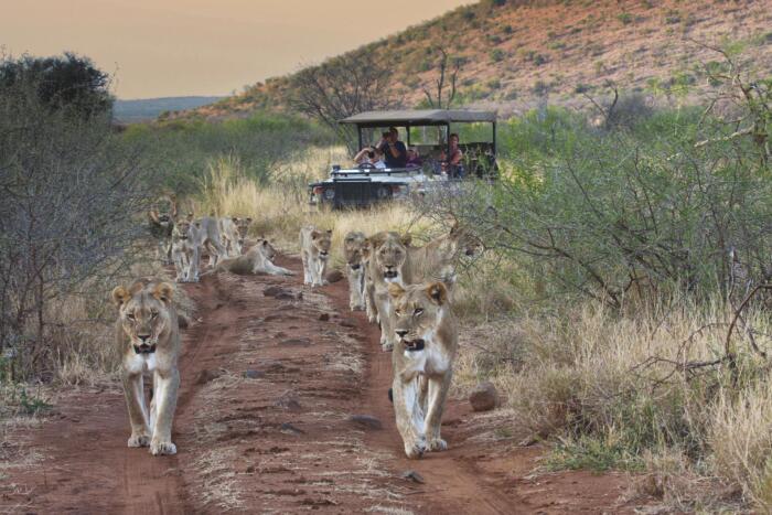 Cedarberg Travel | Tuningi Safari Lodge
