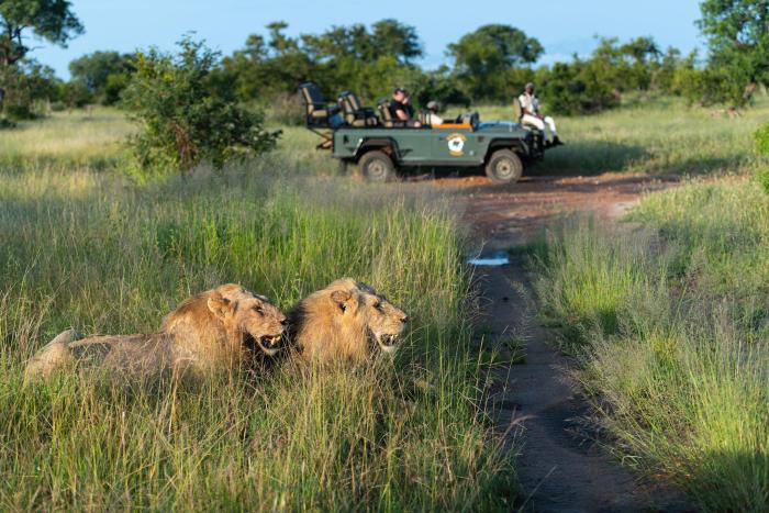 Cedarberg Travel | Kambaku Safari Lodge