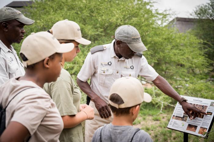 Cedarberg Travel | Kambaku Safari Lodge