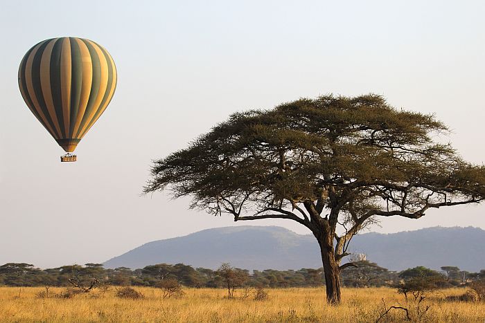 Cedarberg Travel | Scenic Safari in Kenya