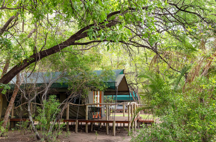 Cedarberg Travel | Ndhovu Safari Lodge