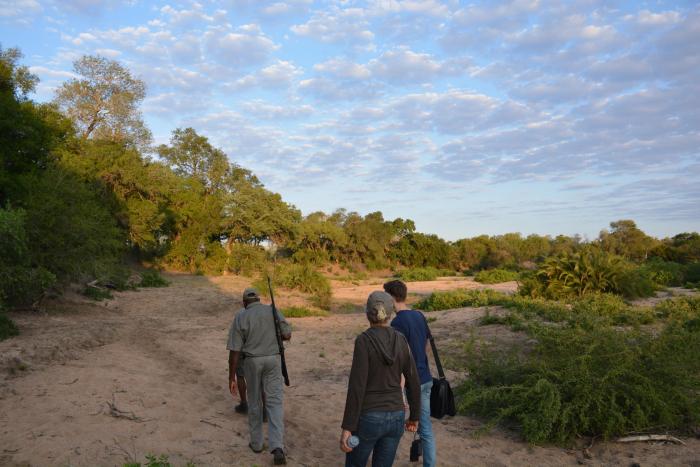 Cedarberg Travel | Rhino Walking Safaris at Plains Camp