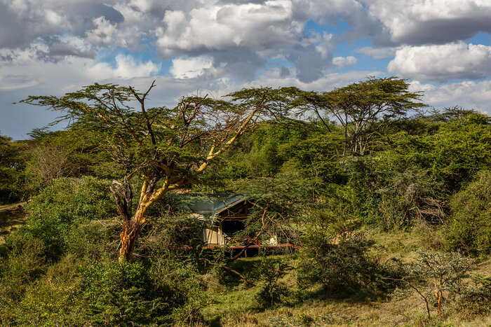 Cedarberg Travel | Porini Mara Camp