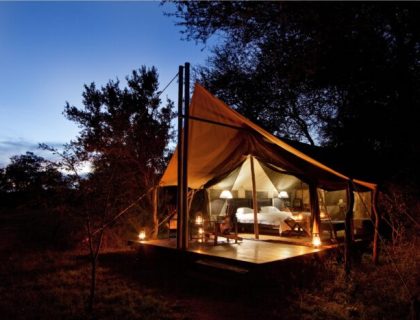 Plains Camp – Rhino Walking Safaris Kruger National Park