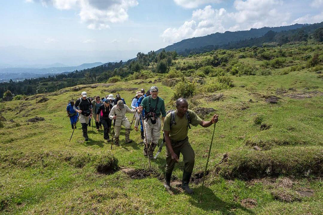 Rwanda Volcanoes NP - gorilla trekking