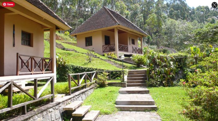 Cedarberg Travel | Vakona Forest Lodge