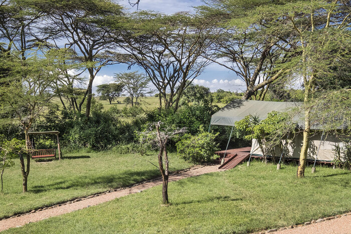 Cedarberg Travel | Porini Mara Camp