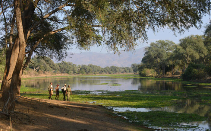 Cedarberg Travel | Sausage Tree Camp