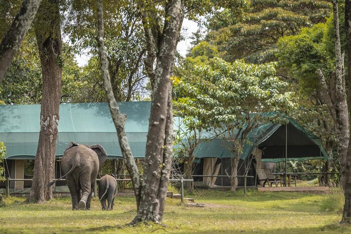 Cedarberg Travel | Little Governors' Camp