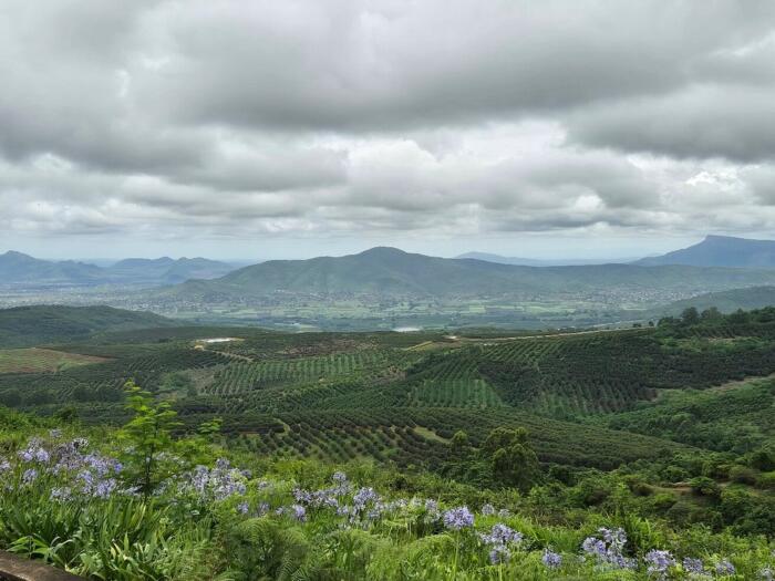 Cedarberg Travel | Kings Walden Garden Manor