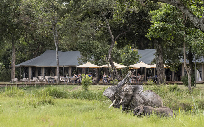 Cedarberg Travel | Little Governors' Camp