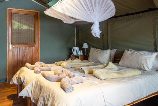 Ndhovu Safari Lodge