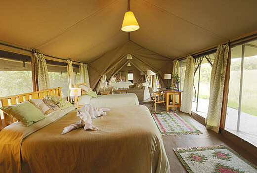Porini Lion Camp