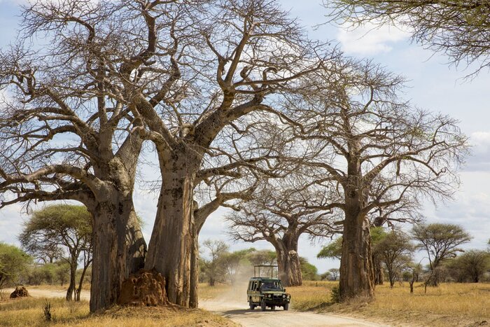 Cedarberg Travel | Kwihala Tented Camp