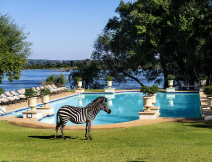 the_royal_livingstone_hotel_by_anantara_hotel_pool