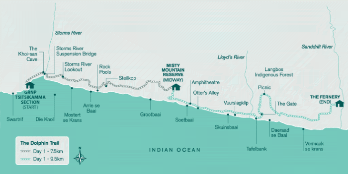 Cedarberg Travel | Dolphin Trail