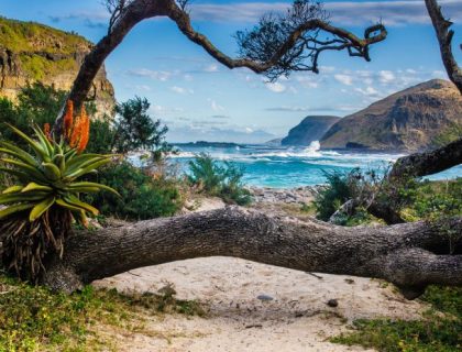 Eastern-Cape-wild-coast-SS-700