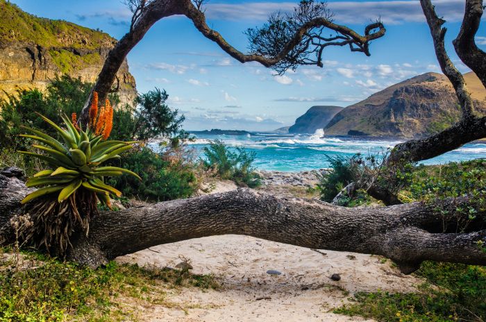 Wild Coast South Africa