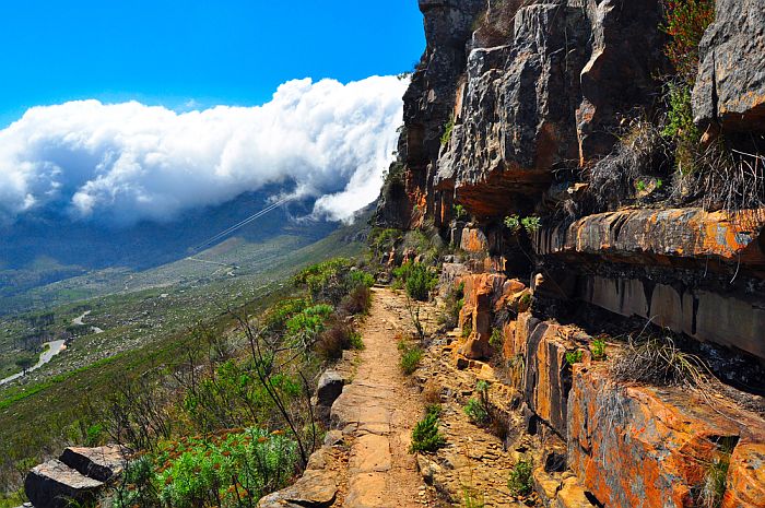 Cedarberg Travel | Cape Town Walking Tour