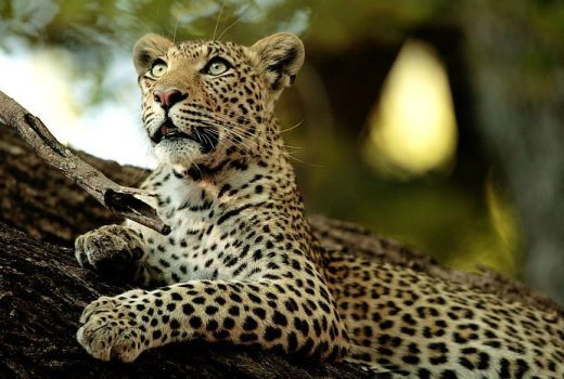 The best time to visit KwaZulu Natal