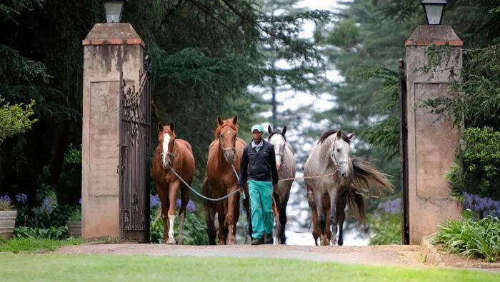 Cedarberg Travel | Hartford House
