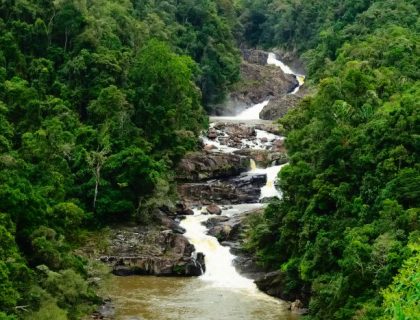 Madagascar walking safaris