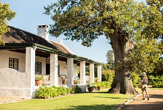 Boschendal Farm