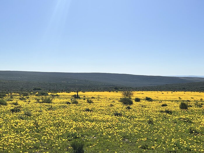 Cedarberg Travel | Simbavati Cederberg Ridge