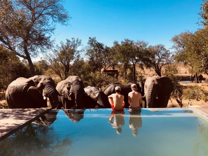 Cedarberg Travel | Honeyguide Tented Safari Camps