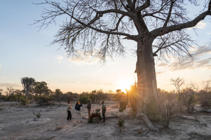 Cedarberg Travel | Ila Safari Lodge