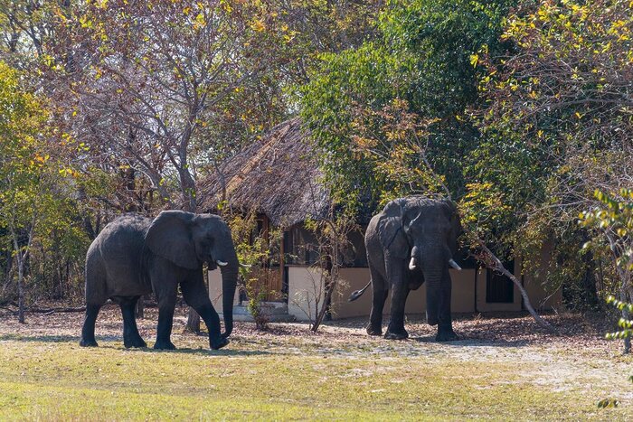 Cedarberg Travel | Nanzhila Plains Safari Camp