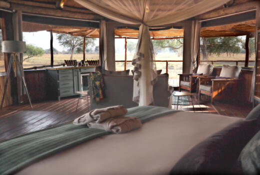 Lion Camp