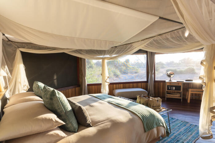 Cedarberg Travel | Lion Camp