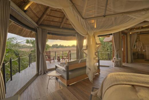 Lion Camp