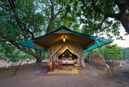 John’s Camp