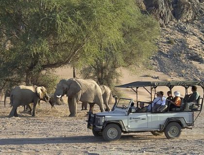 Tips on Wildlife Safari Photography – part 2