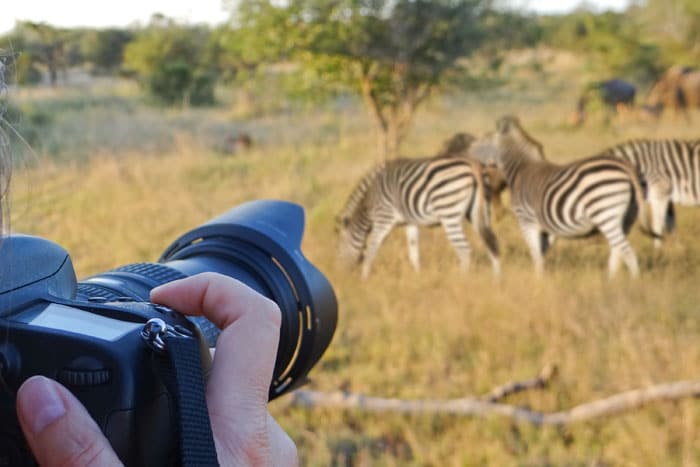 Cedarberg-Africa-Kruger_Photographic Safari_SS_206687662