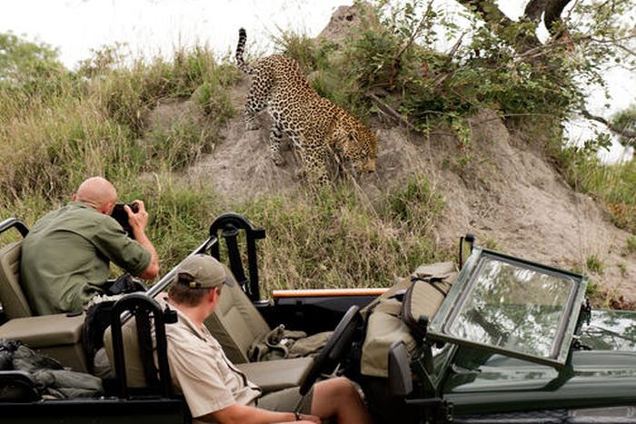 singita_boulders_lodge_game_drive2-700