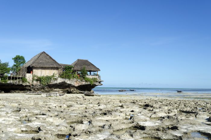 Cedarberg-Africa-Zanzibar-Nungwi-beach
