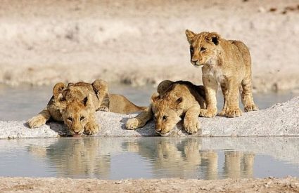 Where to go in Africa in November, December and January