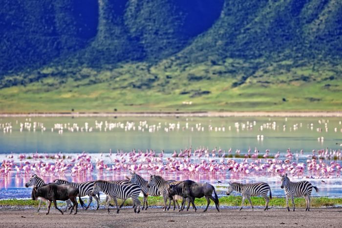 Tanzania-Ngorongoro-SS-700