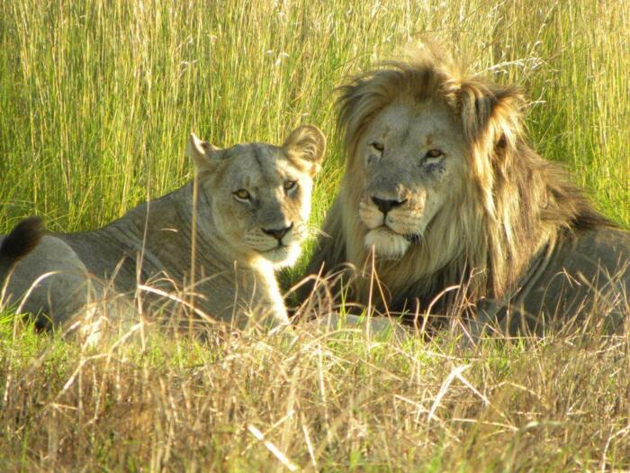 Cedarberg Travel | Clifftop Exclusive Safari Hideaway