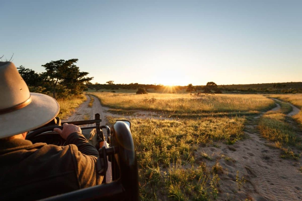 Cedarberg-Africa-Kruger-sabi-sands-game-drive